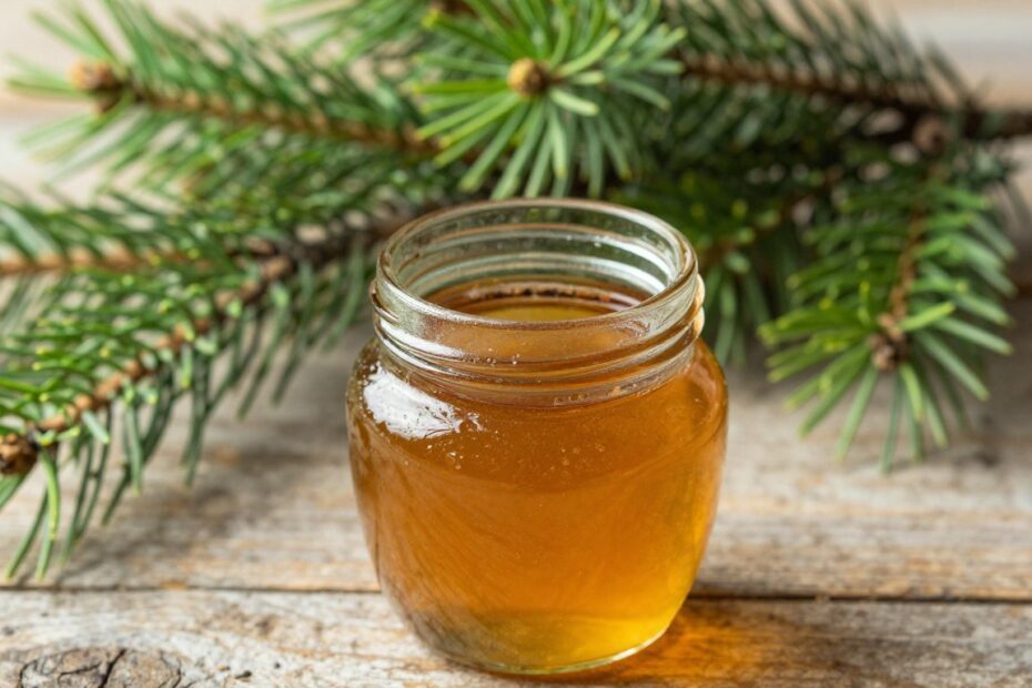 Jak przechowywać syrop z sosny